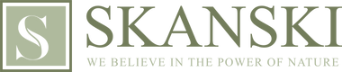 Skanski logo 4